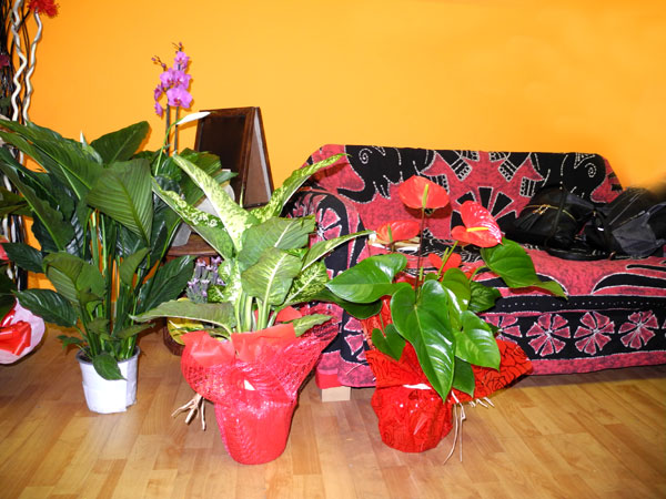 elab_foto_05